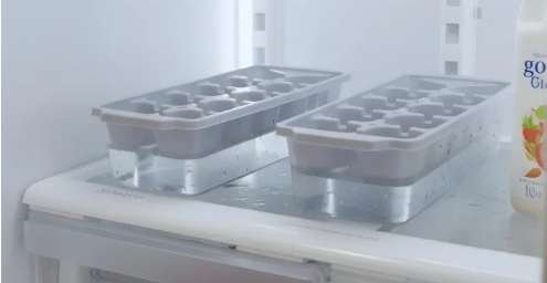 Ice Tray with Storage Container